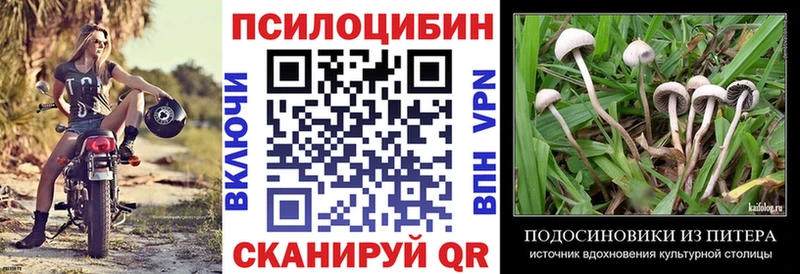 где купить   Холм  блэк спрут зеркало  Галлюциногенные грибы Magic Shrooms 