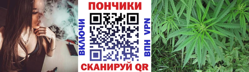 Бошки марихуана марихуана  Холм 